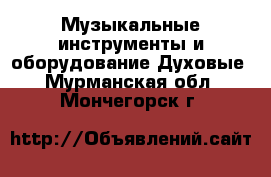 Музыкальные инструменты и оборудование Духовые. Мурманская обл.,Мончегорск г.